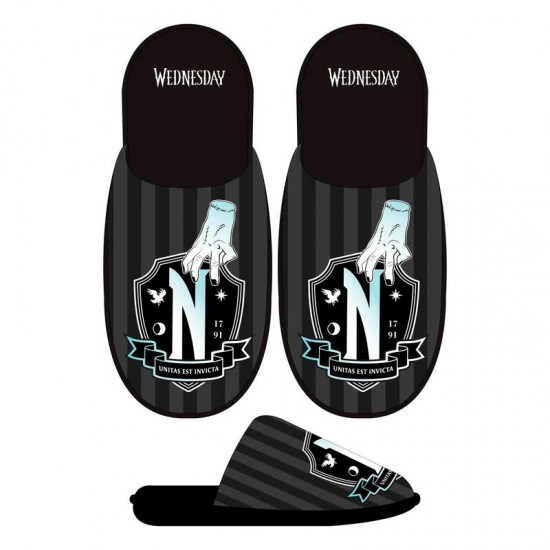 Wednesday adult slippers 12 Τεμ.