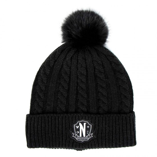 Wednesday hat and gloves set