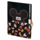 Disney Mickey True diary with key