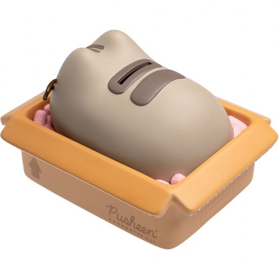 Pusheen money box