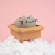 Pusheen money box