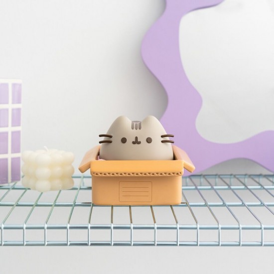 Pusheen money box