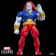 Marvel Legends Series Starfox & Champion of the Universe pack 2 figures 15cm