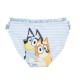 Bluey swim panties 12 Τεμ.