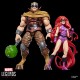Marvel Legends Series Inhumans Medusa & Gorgon pack 2 figures