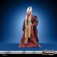 Star Wars Attack of the Clones Shaak Ti figure 9,5cm