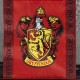 Harry Potter Gryffindor premium beach bag