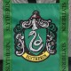 Harry Potter Slytherin premium beach bag