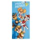 Paw Patrol towel + swimming goggles set