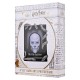 Harry Potter Nagini photo frame