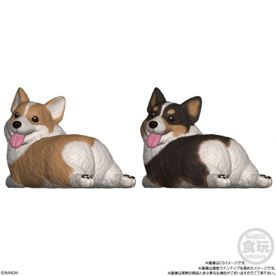 Mocchiri Kororin Dogs assorted figure 12 Τεμ.
