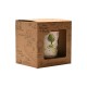 Disney Winnie the Pooh money bank