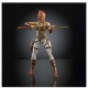Masters of the Universe 2026 Movie Chronicles Teela figure 18cm