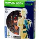 Human Anatomy