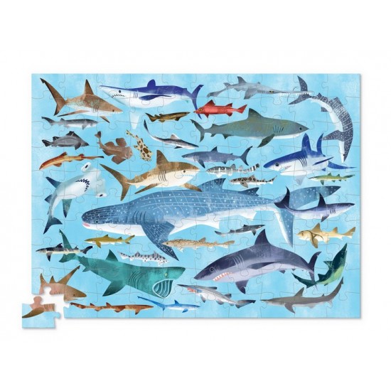 100-pc 36 Sharks