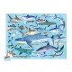 100-pc 36 Sharks