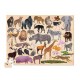 100-pc 36 Wild Animals