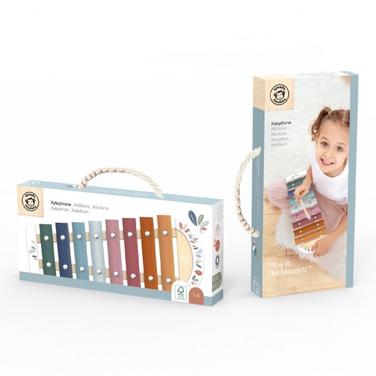 Μεταλλόφωνο 27x11x2,5 cm