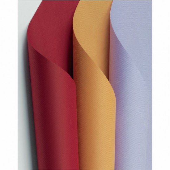 ΡΟΛΟ ΚΡΑΦΤ ΛΕΥΚΟ 60gr 1χ10Μ