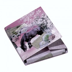 ΚΟΥΤΙ ΣΚΡΑΤΣ PAGNA Α4 LA PASSIONATA