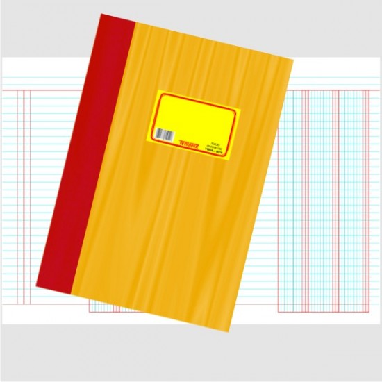 ΦΥΛΛΑΔΕΣ ΛΟΓΙΣΤΙΚΕΣ 21Χ29 Φ.150