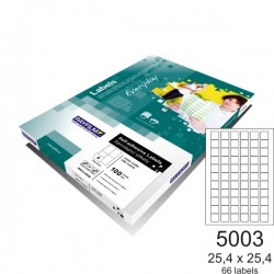 ΕΤΙΚΕΤΕΣ RAYFILM ECO Α4 25.4x25.4mm 100φ.