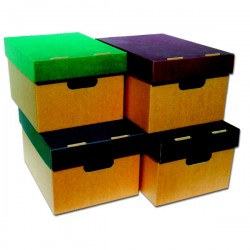 ΚΟΥΤΙ ΑΠΟΘΗΚΕΥΣΗΣ ΟΙΚΟΛΟΓΙΚΟ Α3 ΧΡΩΜΑΤ.ΚΑΠΑΚΙ 33Χ21Χ44