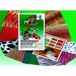 ΜΠΛΟΚ ΧΑΡΤΟΝΙΑ ANIMAL 25X35