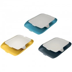 ΧΑΡΤΟΘΗΚΗ LEITZ COSY 5259 (με βάση organiser)