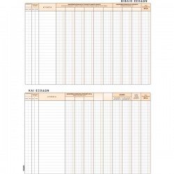 ΒΙΒΛΙΟ ΕΣΟΔΩΝ ΕΞΟΔΩΝ 25Χ35 50φ.