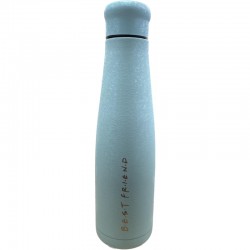 ΘΕΡΜΟΣ ΑΝΟΞΕΙΔΩΤΟ 550ml BLUE ICE BEST FRIENDS