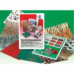 ΦΩΤΟΚΑΡΤΟΝ ΜΕ ΒΕΛΟΥΔ.9Φ