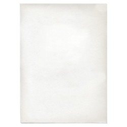 ΖΕΛΑΤΙΝΕΣ ΕΓΧΩΡΙΕΣ Π 23χ31 cm (πακέτο 100τεμ.)