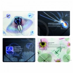 ΝΤΟΣΙΕ ΡΡ ΛΑΣΤΙΧΟ OPTIMA ''X-RAY''