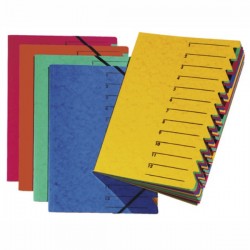 ΝΤΟΣΙΕ ORGANISER ΛΑΣΤΙΧΟ PAGNA12 ΔΙΑΧΩΡΙΣΤΙΚΑ ΧΡΩΜ.