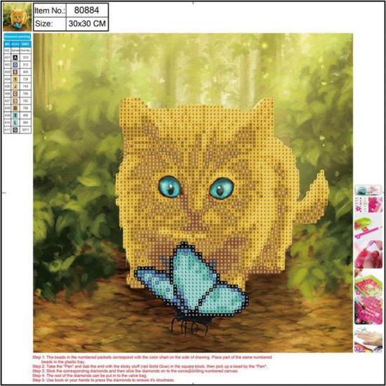 ΚΑΤΑΣΚΕΥΕΣ DIAMOND PAINTING 30x30 80884