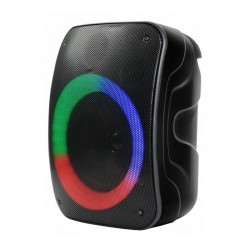 ΗΧΕΙΟ REBELTEC BLUETOOTH STAGE 300