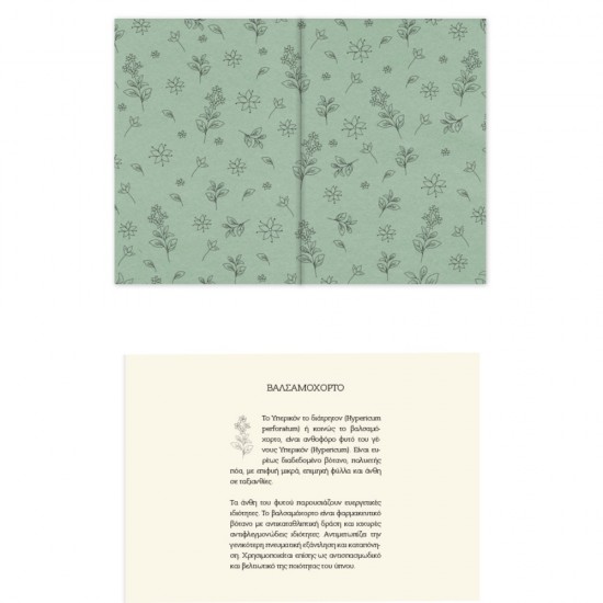 ΗΜΕΡΟΛΟΓΙΟ ΑΛΦΑ BOTANICAL ΗΜΕΡΗΣΙΟ 17χ25 ΜΕΓΑΛΟ