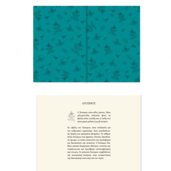 ΗΜΕΡΟΛΟΓΙΟ ΑΛΦΑ BOTANICAL ΗΜΕΡΗΣΙΟ 17χ25 ΜΕΓΑΛΟ