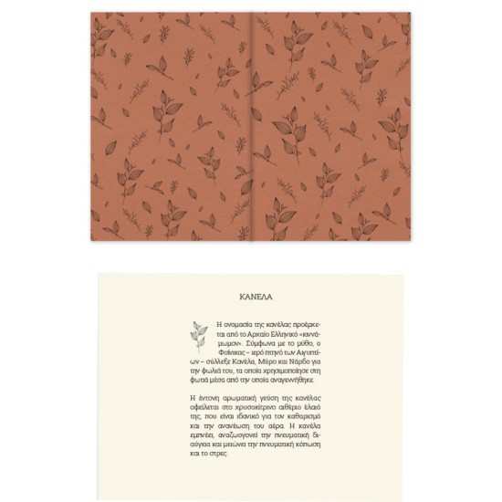 ΗΜΕΡΟΛΟΓΙΟ ΑΛΦΑ BOTANICAL ΗΜΕΡΗΣΙΟ 17χ25 ΜΕΓΑΛΟ