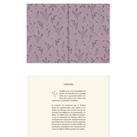 ΗΜΕΡΟΛΟΓΙΟ ΑΛΦΑ BOTANICAL ΗΜΕΡΗΣΙΟ 17χ25 ΜΕΓΑΛΟ