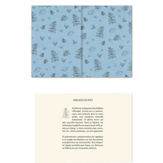 ΗΜΕΡΟΛΟΓΙΟ ΑΛΦΑ BOTANICAL ΗΜΕΡΗΣΙΟ 17χ25 ΜΕΓΑΛΟ