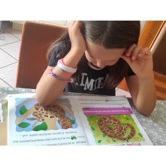 ΥΠΟΔΕΚΑΜΕΤΡΑ ARDA SEGNA RIGA (stand 36τεμ.)