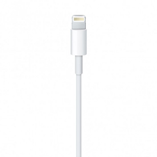 Apple cable USB-A - Lightning 2m white (MD819)
