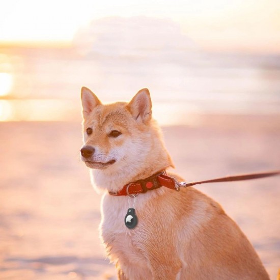 Tech-Protect Rough Vein 2-pack case for Apple AirTag - black