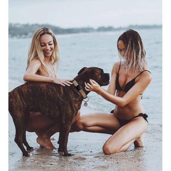 Apple AirTag Silicone Case for Dog or Cat Collar - Black