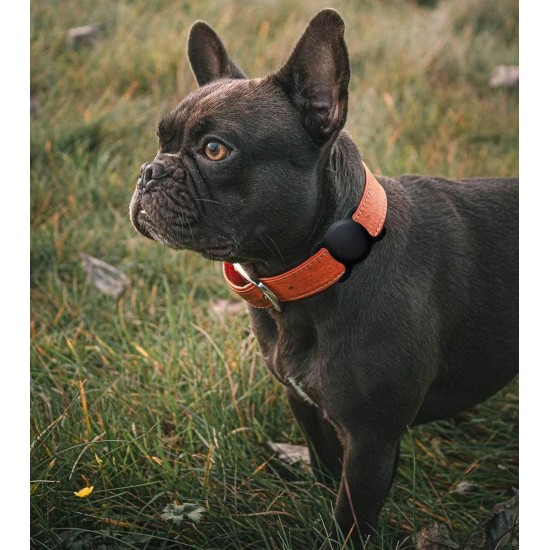 Apple AirTag Silicone Case for Dog or Cat Collar - Black