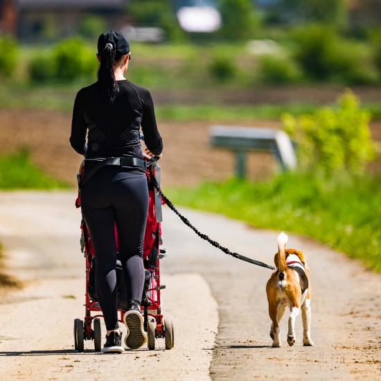 Wozinsky WPST-01 Hip Belt with Pouch and Elastic Leash for Running with a Dog - Black
