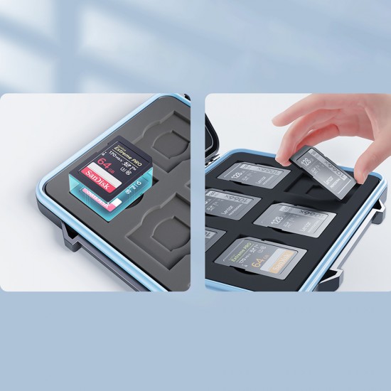 Orico PHCD Case for Memory Cards and Data Media Black 2.5