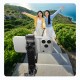 Selfie stick Orico SPN185 1/4